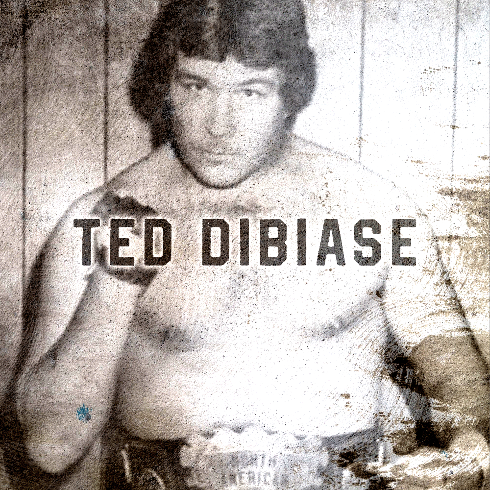 Ted DiBiase | 1TS